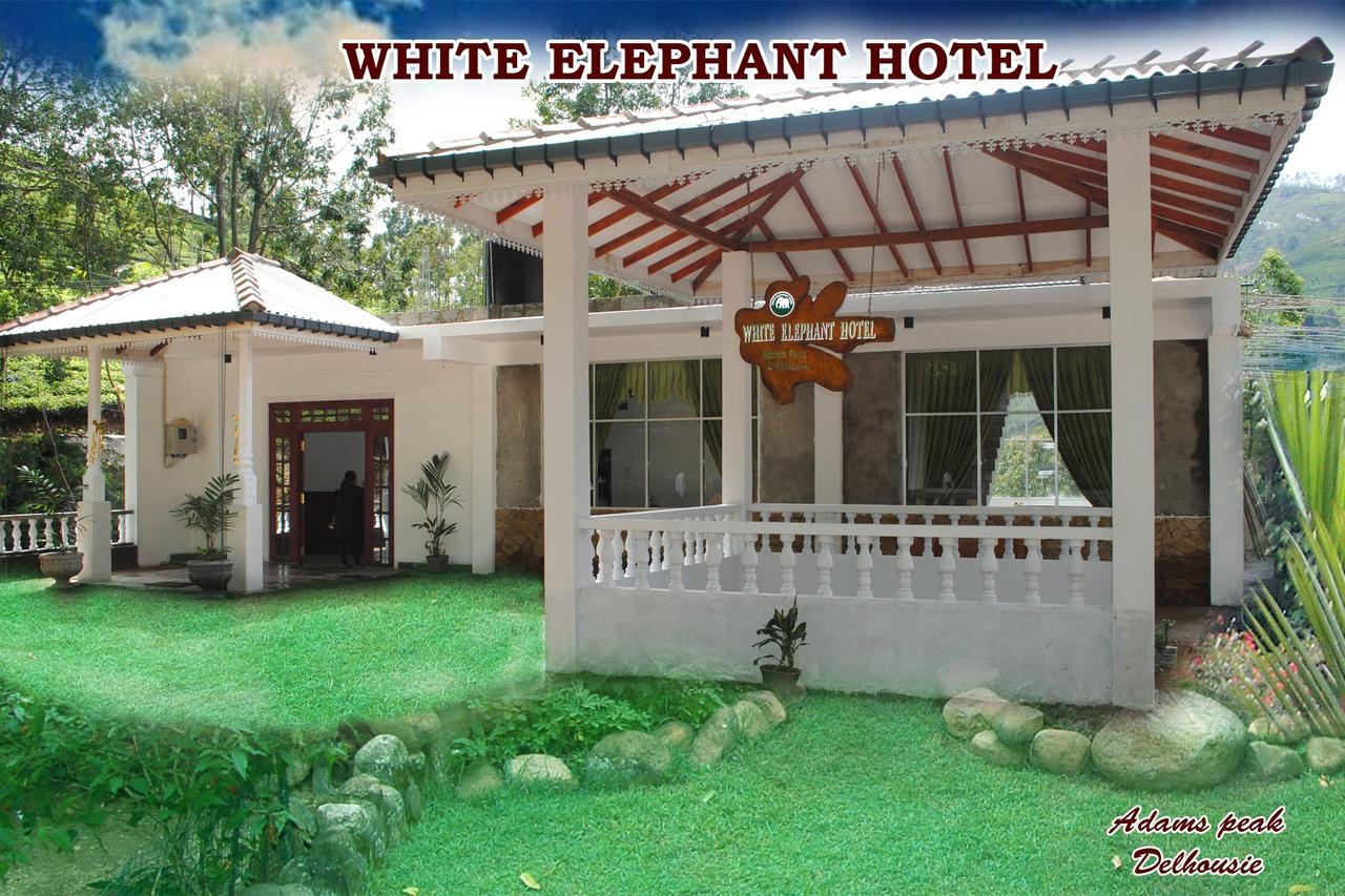 White Elephant Hotel Maskeliya 외부 사진